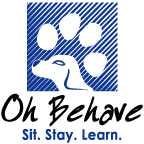 Certified Professional Dog Trainer offering positive reinforcement dog training at your home in Broward County or group classes in Plantation.