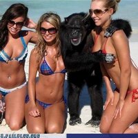 Mike (@monkeyfartmike) 's Twitter Profile