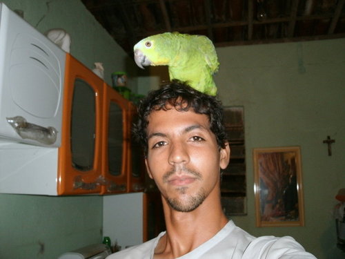 wushuoliveira's profile picture. 