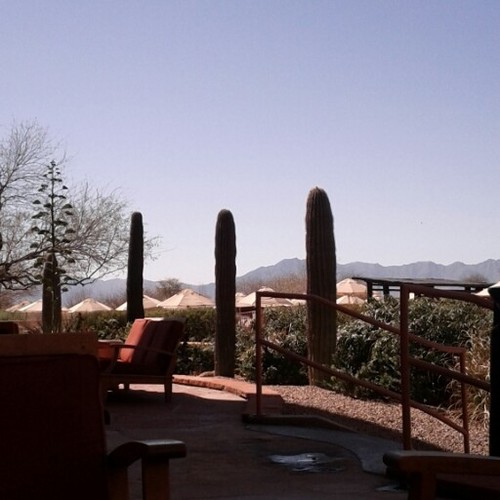 MineralStang's profile picture. 