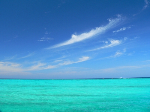 naga03183644's profile picture. 