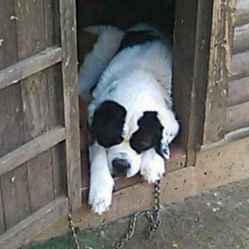 nanako_foh's profile picture. 