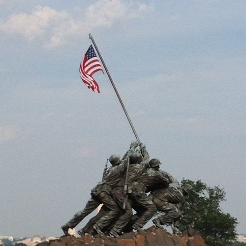 HaasMoose's profile picture. 