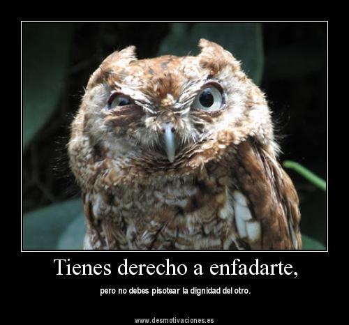 AuraMarinaReye1's profile picture. 