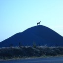 Evan Brown - @sheoncehadme - Twitter