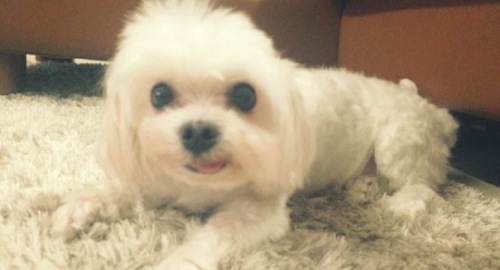 clevelo's profile picture. 여행, 음식, 운동, 공부(?)