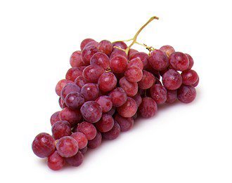 Visit Mudgee NSW wine region, accommodation, attractions, tours, special events and general information about Mudgee Central West New South Wales.