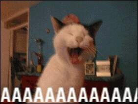 biofreeze_'s profile picture. 