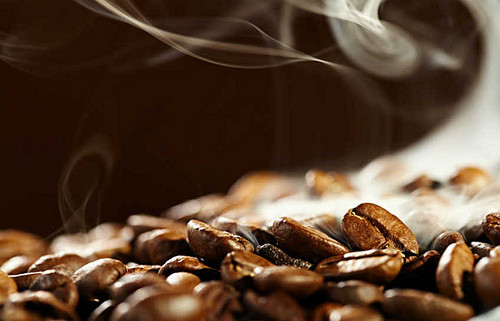 BitiesKoffie's profile picture. Bitie's koffie is een leverancier van uitstekende koffie en thee produkten. Ook voor uw apparatuur. Koffie concepten op maat voor elke organisatie.