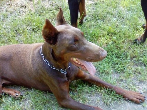 thaiul's profile picture. le socialisme est un fléau qu'il faut éradiquer