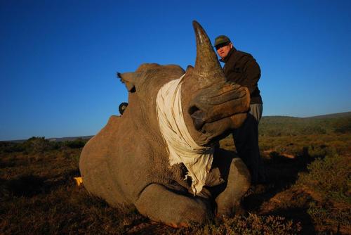 Wildlife & Managing Director of Kwandwe. Co-owner of Blue Crane Wildlife Services.