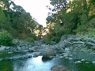 monfirenze's profile picture. Enjoy the rainy days, having a good humour sense, staying among lovely and funny people, my children,  love walking in the country...