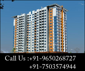 We offers the details of all residential and commercial project which have been launched or about to be launched at Dwarka Expressway