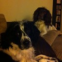 Gemma Burton - @gemmaburton87 - Twitter