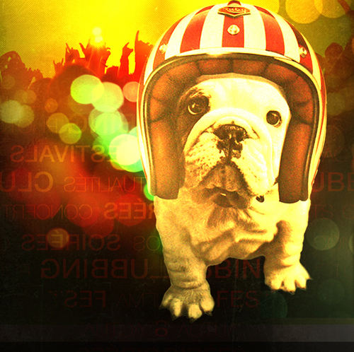 sideproject1's profile picture. 