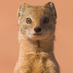 Seth Markman (@tunasweasel) Twitter profile photo Seth Markman (@tunasweasel) Twitter profile photo