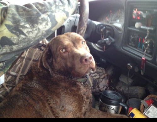 Mblackconstruct's profile picture. 