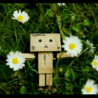 saynoenunk's profile picture. Sanguin Girl...