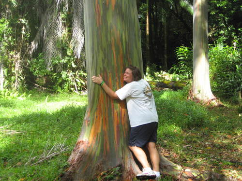 Mom, tree hugger, lifelong learner, silly goose