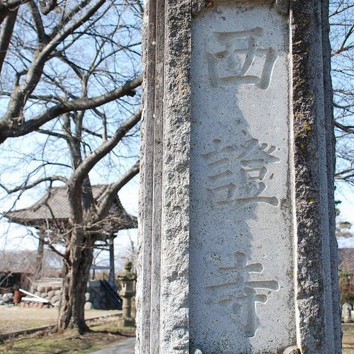 西證寺は栗と北斎の町、小布施にある、浄土真宗本願寺派の小さなお寺です。
お庭の花や仏教に関する情報などほっと安らぐを情報を配信します。
主に若坊守（次期住職の妻）が更新しております(^-^)v