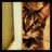 indianna_leanna's profile image