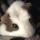 jim talbott - @jimtalbott1 - Twitter