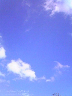 dolphin_nagi's profile picture. 坂本なぎです。演劇ユニット「三度目の思春期」の構成員です。
好きなこと / の〜んびり海を眺めること・ サッカーを観ること・音楽を聞くこと・ 子供と遊ぶこと・美味しいお酒を飲むこと・ 眠ること ・ 空を見ること