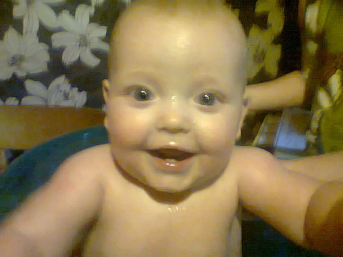 bernard o shea Profile