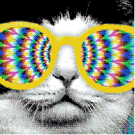 kat_person's profile picture. 