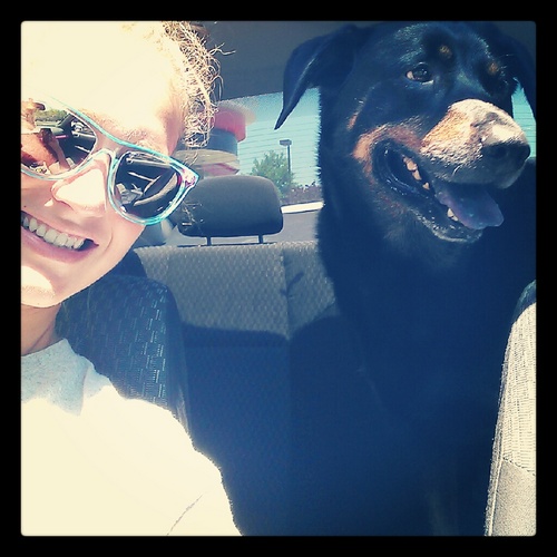 PierceAp's profile picture. 