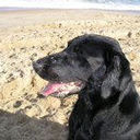 JON HANNER - @jonhanner - Twitter