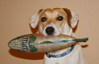 Mom, Dad, two boys and a dog with a fish.