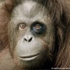 wscript_w's profile picture. 