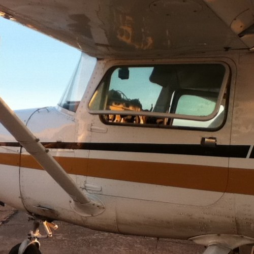 cesarnagasaki's profile picture. 