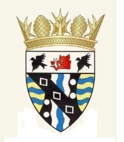 Representing the shared interests of CPJFC, CPYFC, Carnoustie YM, Carnoustie Rugby & MLFC