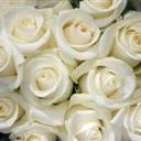 Fran Rigby - @fran_rigby - Twitter