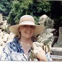 Sharon Vander Pool (@hawk0021) 's Twitter Profile