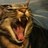 MalatestaN's profile image