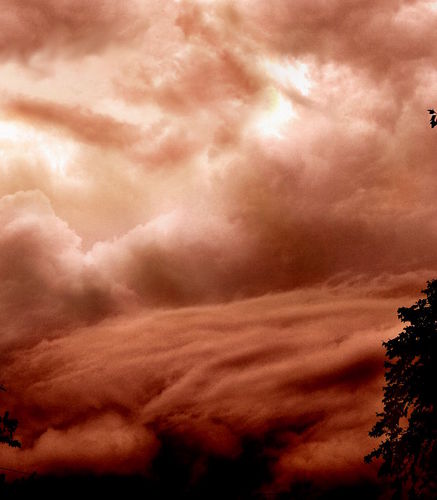 Cloudmydia's profile picture. 