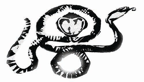 thedevilishgrin's profile picture. 