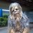 jobyknowles's profile image