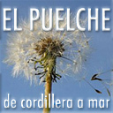 ElPuelcheChile Profile Picture