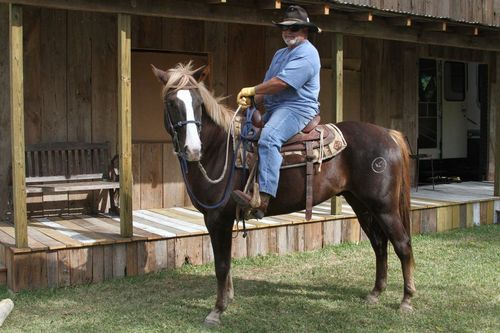 Oak Hollow Equestrian Park-Cypress TX. Boarding, lessons, parties, photography, Scouts badges, homeschoolers.
