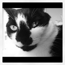 Linda Johnstone - @LindaMcK21 - Twitter