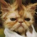 Glenda Patton - @gampatton - Twitter