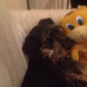 laura chiatti - @lchiatti - Twitter