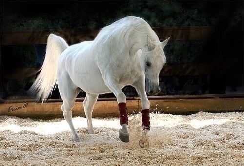 etsal64's profile picture. الإيجابية والتفاؤل مبدئي والواقع منطقي