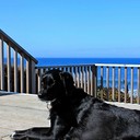 Elizabeth Sheets - @ScarBrewEBeth - Twitter