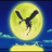 InterBlast's profile image
