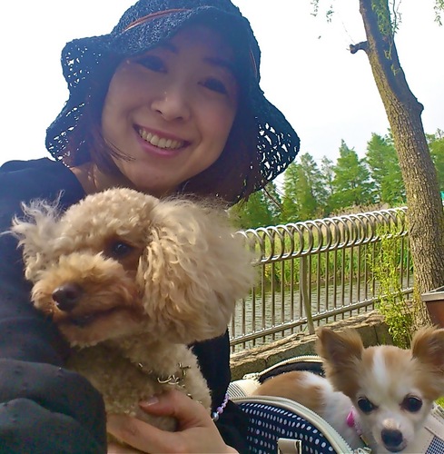 pecoporon's profile picture. 経営していた会社を寿引退し、旦那さまの連れ子（チワワとトイプードル）と仲良く日々のんびり過ごしています。現在、妊娠中なので大好きなワインとヨガやゴルフは封印。プリザーブドフラワーの講師資格を取得し、ネットショップをオープンしたばかり。サロンは開業準備中です。ドラマと映画を観るのが大好きです。